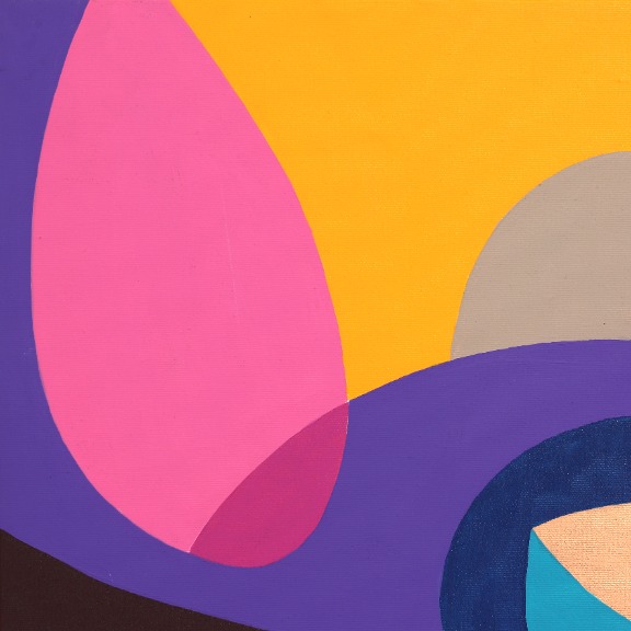 Federico Pinto Schmid: Armocromia image 3